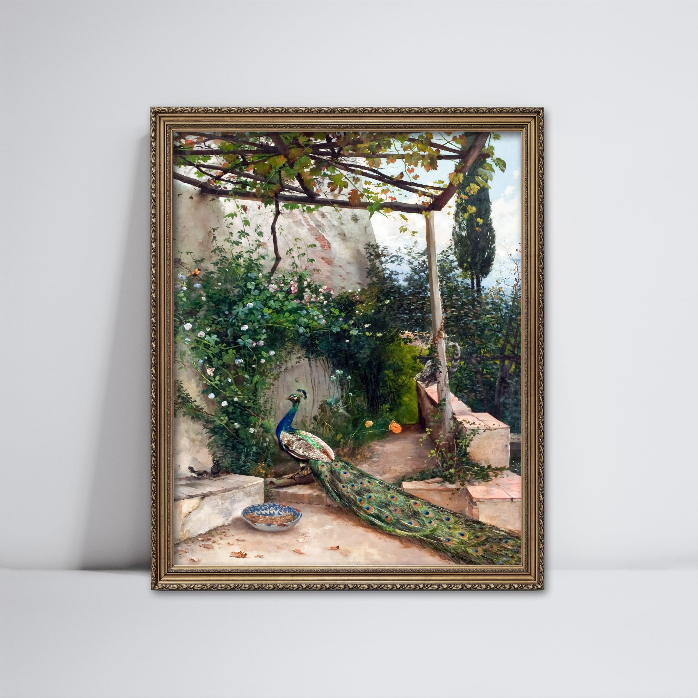 Amazon.com: CLOUD NINE PRINTS | Mediterranean Peacock Art